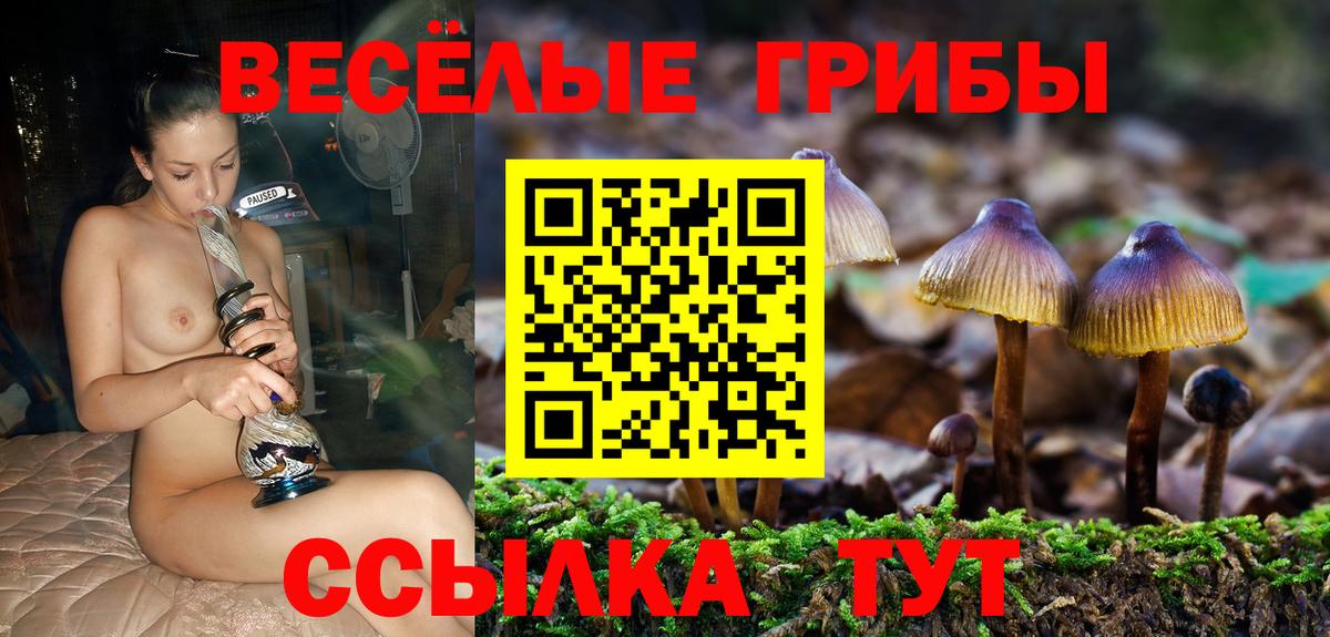 Галлюциногенные грибы ЛСД Коломна